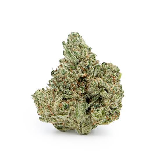 GG #4 by stiiizy flower at ShowGrow