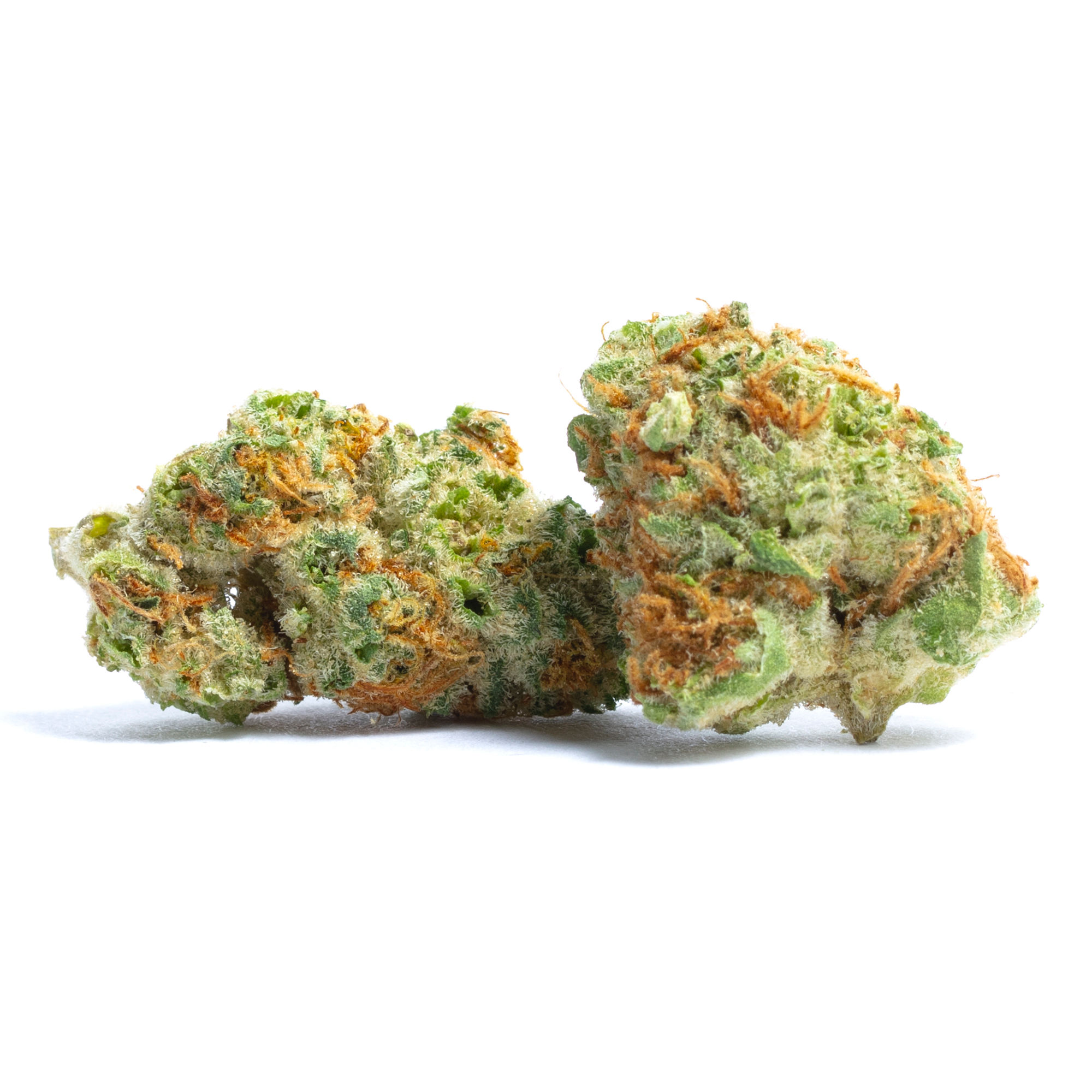 Strawberry Pop by rare flower at ShowGrow