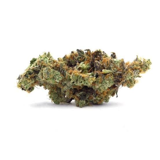 GMO Project by polaris flower at ShowGrow