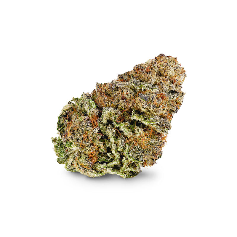 Fresca Berriez by clout king flower at ShowGrow