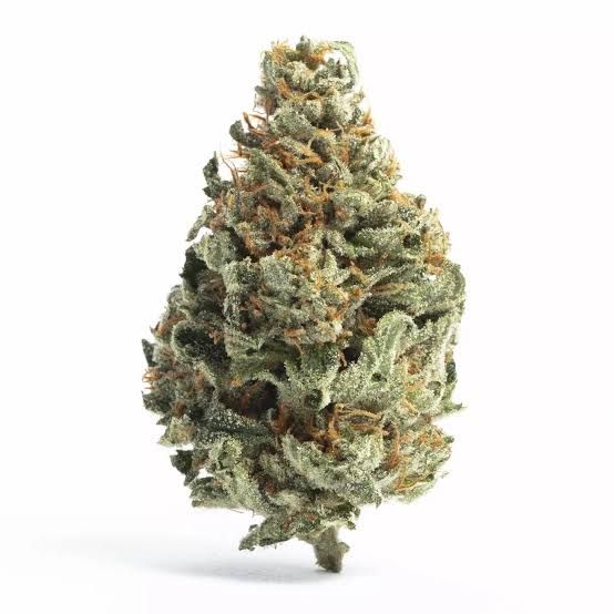 Abomination by nature's chemistry flower at ShowGrow