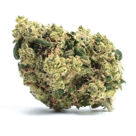 Pineapple Chunk by high lights flower at ShowGrow