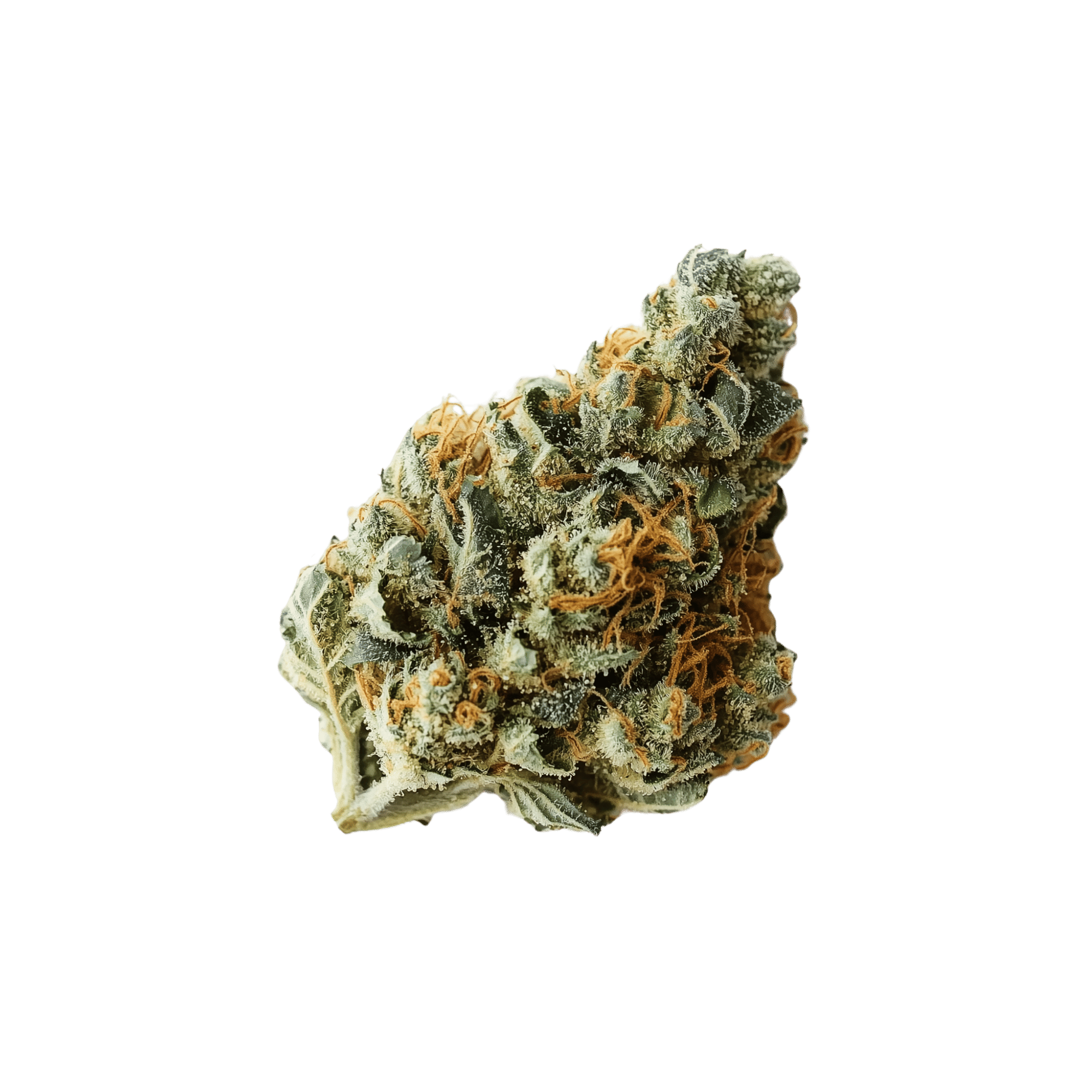 Bananaconda by rythm flower at ShowGrow