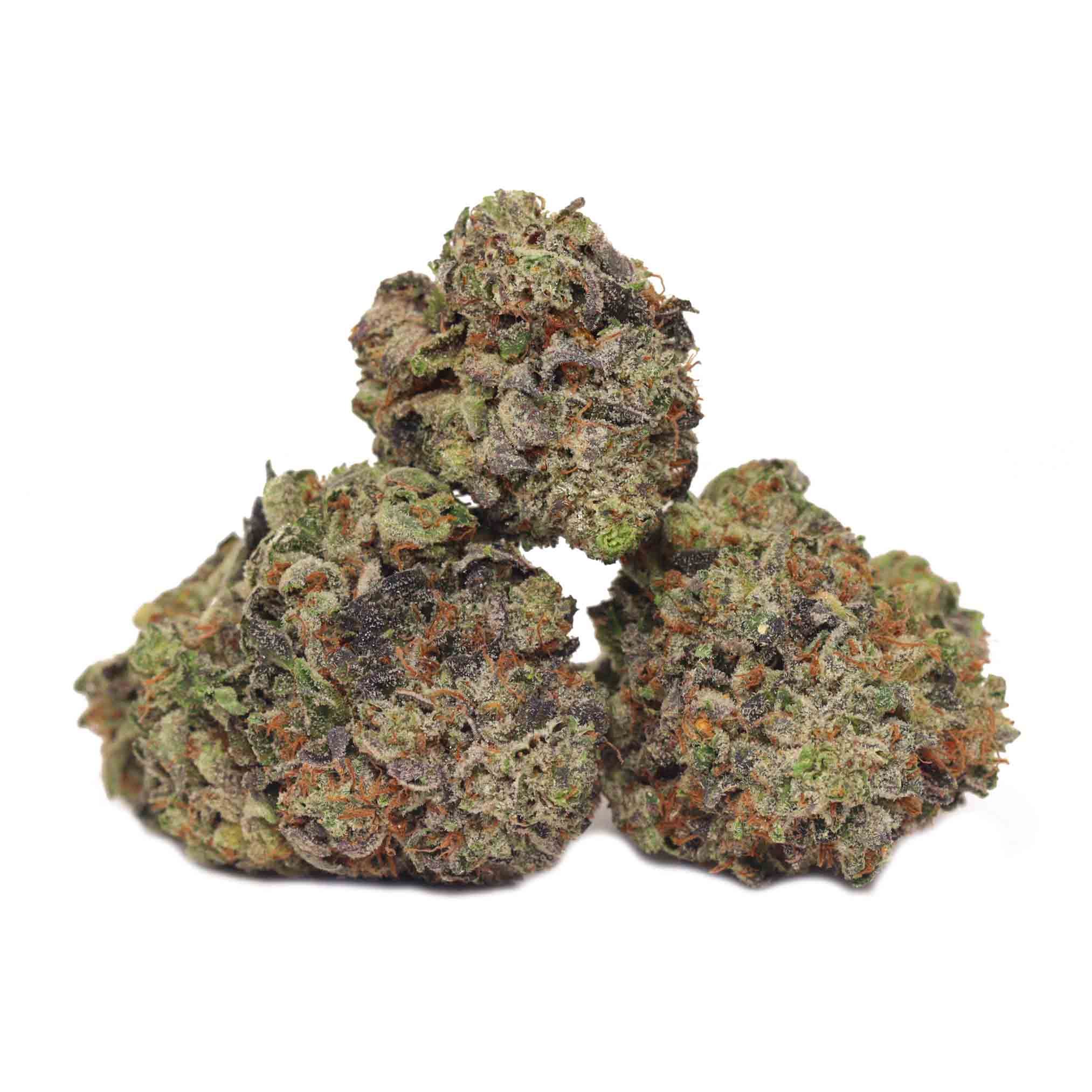 Wagyu by clout king flower at ShowGrow