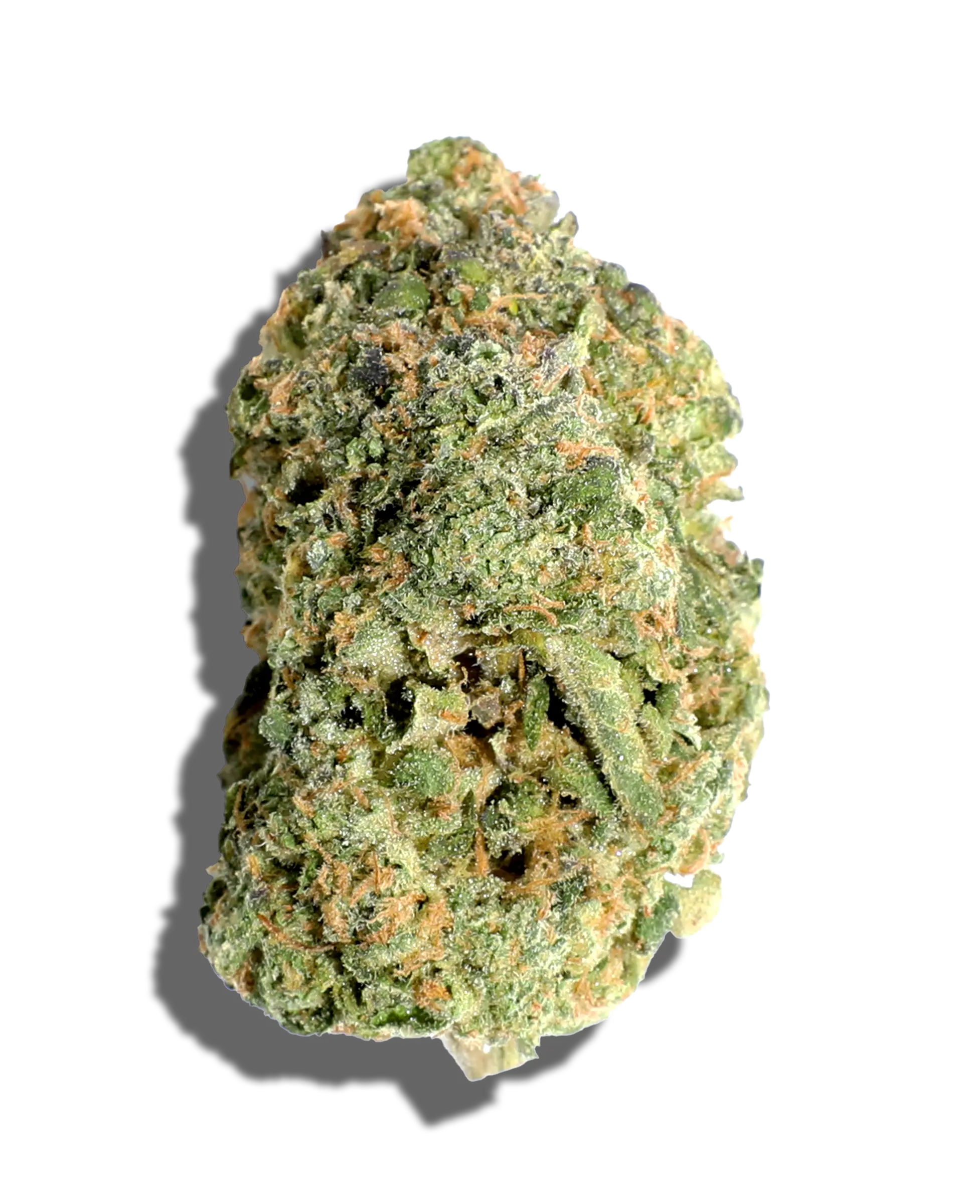 Sticky Fingers by hustler's ambition flower at ShowGrow