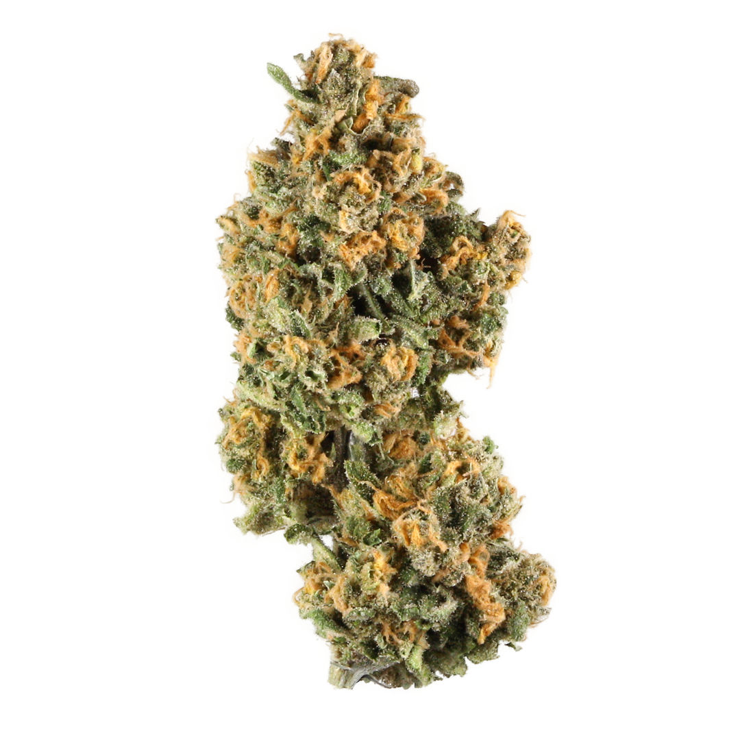 Pink Champagne by stiiizy flower at ShowGrow