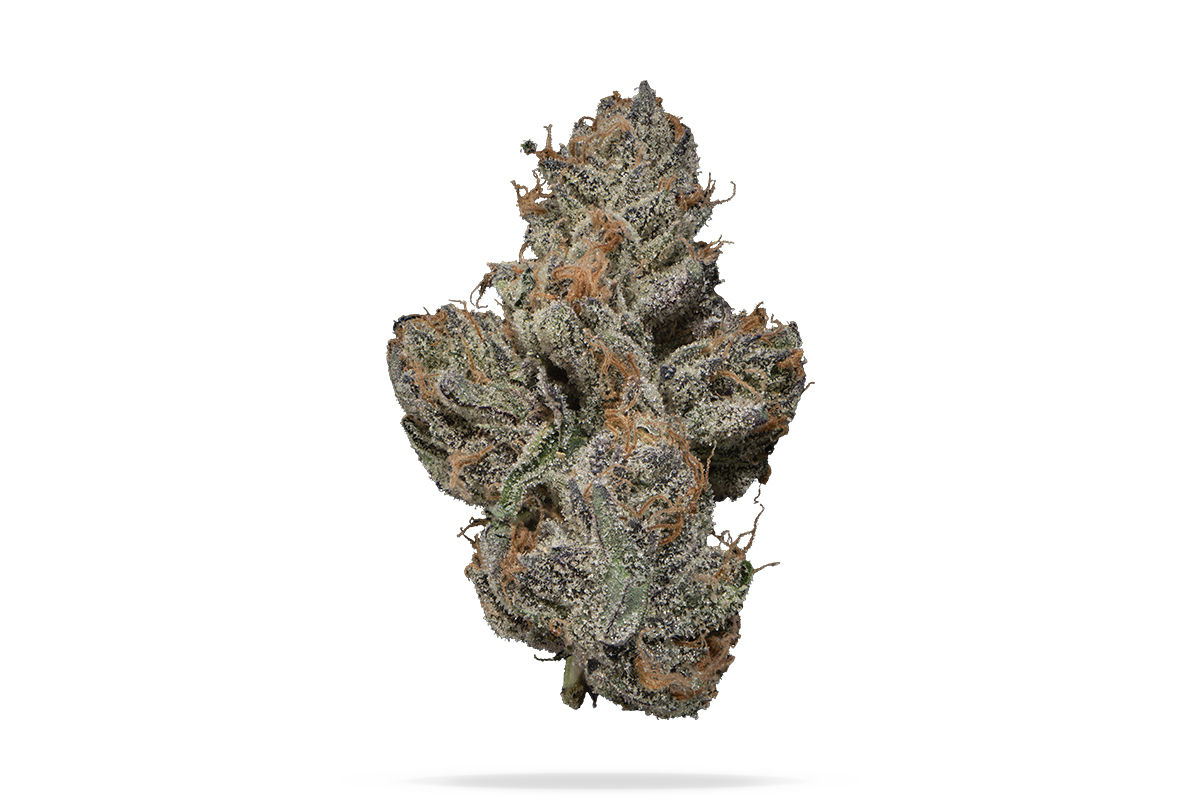 LCZ by clout king flower at ShowGrow