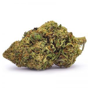 Miss B by green life productions flower at ShowGrow