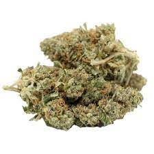 Garlic Haze by floravega flower at ShowGrow