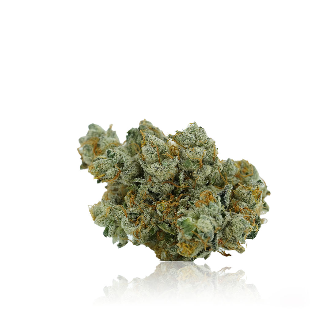 Primus by floravega flower at ShowGrow