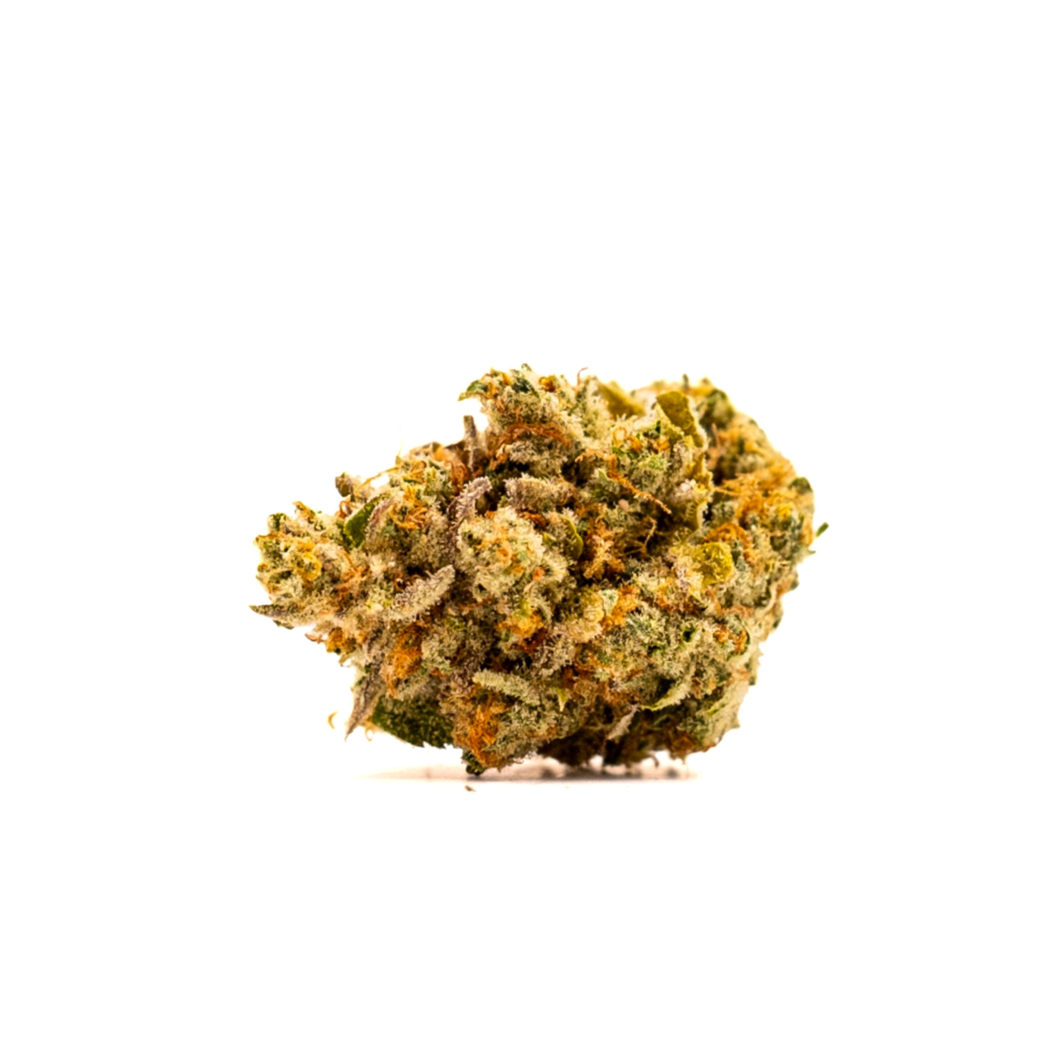 Monkey Paste by mama j's flower at ShowGrow