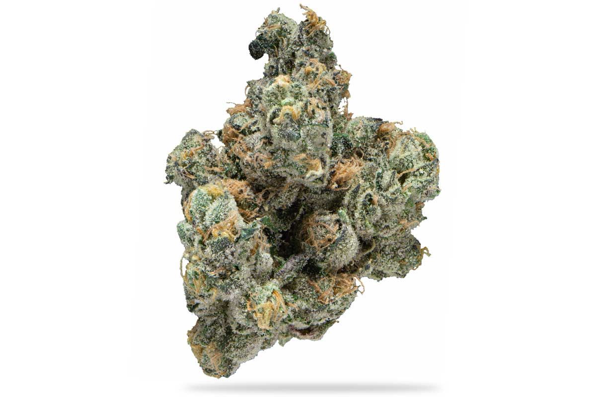 Black Bubblegum Horchata by nature's chemistry flower at ShowGrow