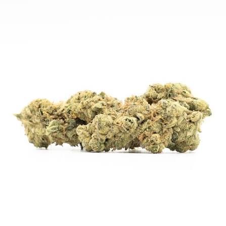Dulce De Uva by range flower at ShowGrow