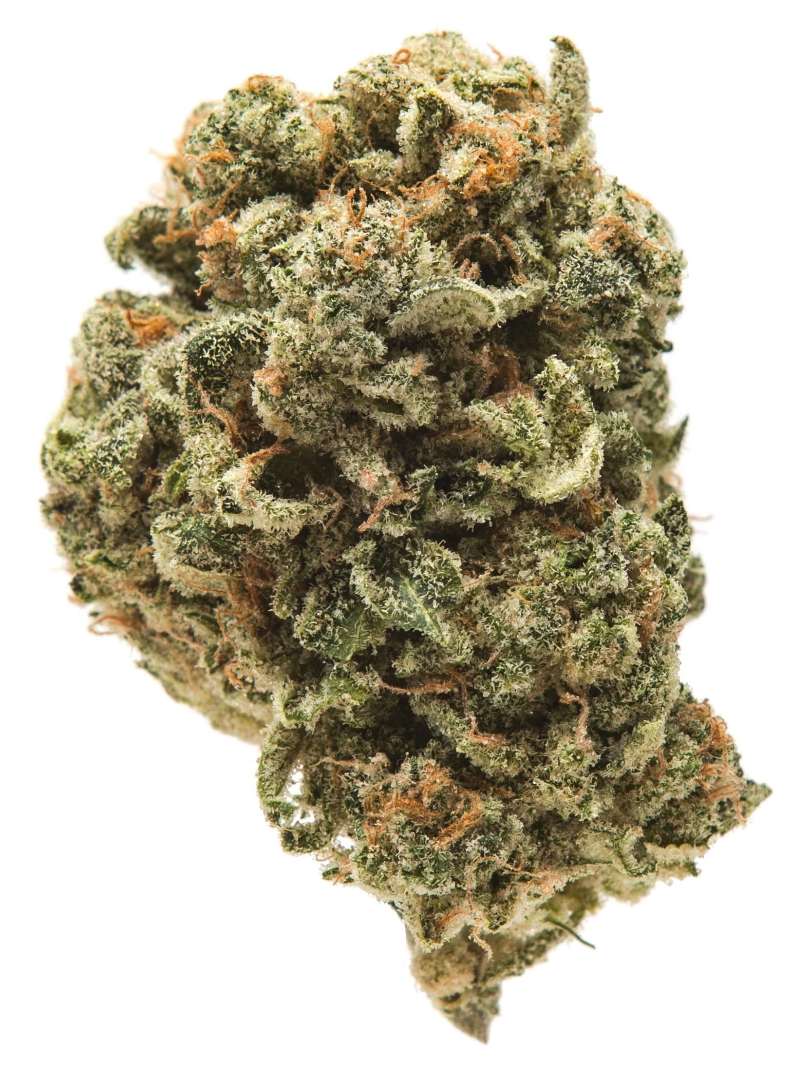 Double Dream by hustler's ambition flower at ShowGrow