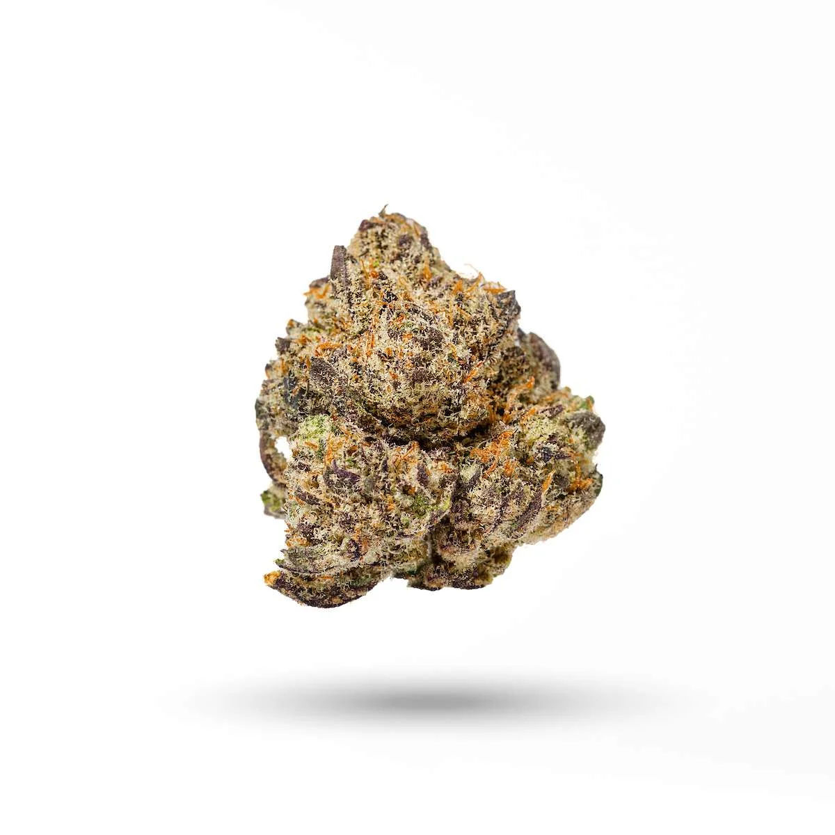 Crescendo by thc design flower at ShowGrow