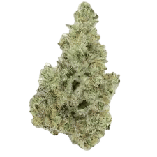 Cap Junky by alternative medicine association flower at ShowGrow