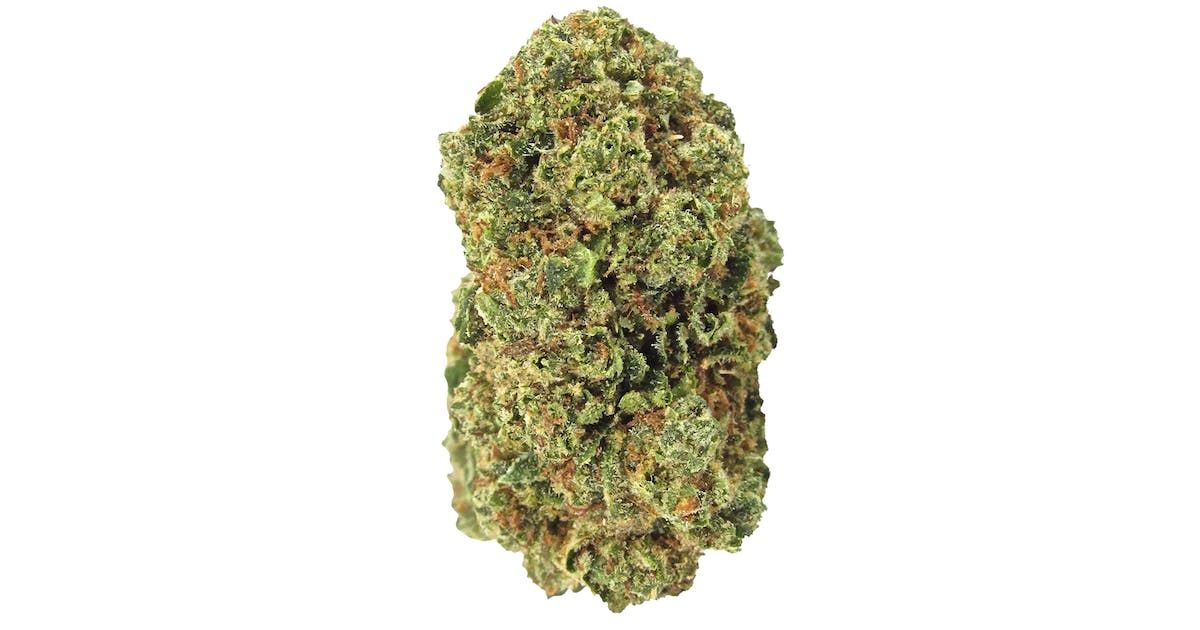Face on Fire by nature's chemistry flower at ShowGrow