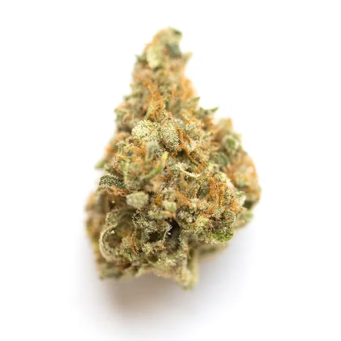 Donny Burger by hustler's ambition flower at ShowGrow