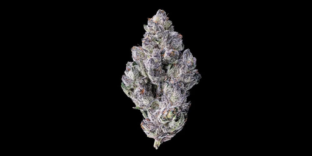 Dirty Laundry by maven flower at ShowGrow Long Beach Dispensary | Cannabis, Vapes, Edibles & Pickup
