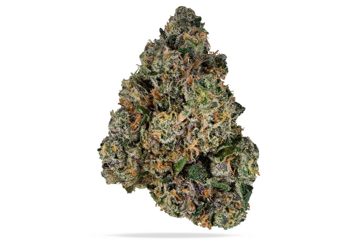Sherbanger by terpz flower at ShowGrow