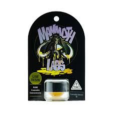 Habibis Jelly Live Resin Badder by mammoth labs concentrate at ShowGrow