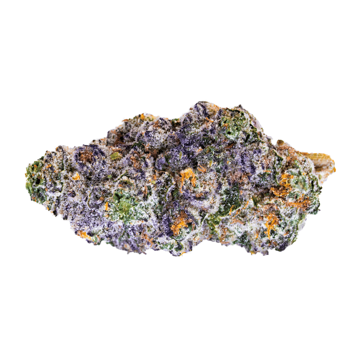 Black Maple by good green flower at ShowGrow
