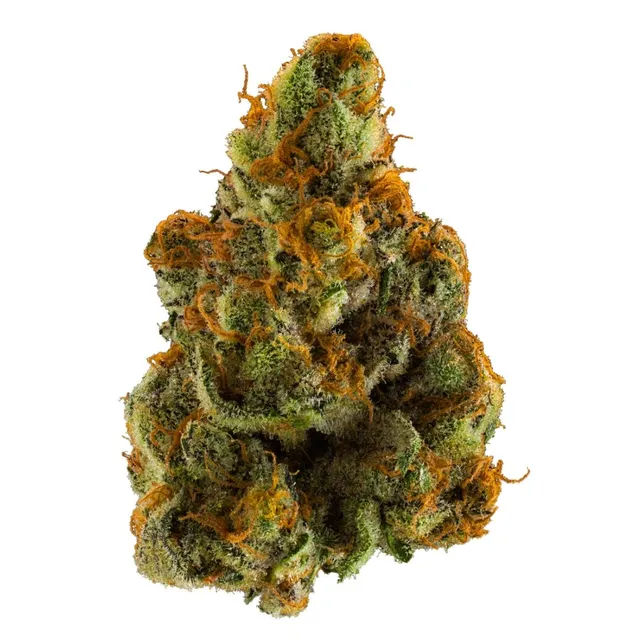 Strawberry Candy by fleur flower at ShowGrow