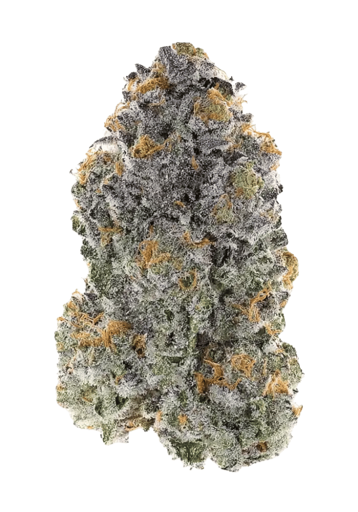 Tiger Toe by good green flower at ShowGrow