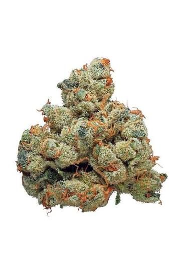 Diamond: Apple Rock Candy by nature's chemistry flower at ShowGrow