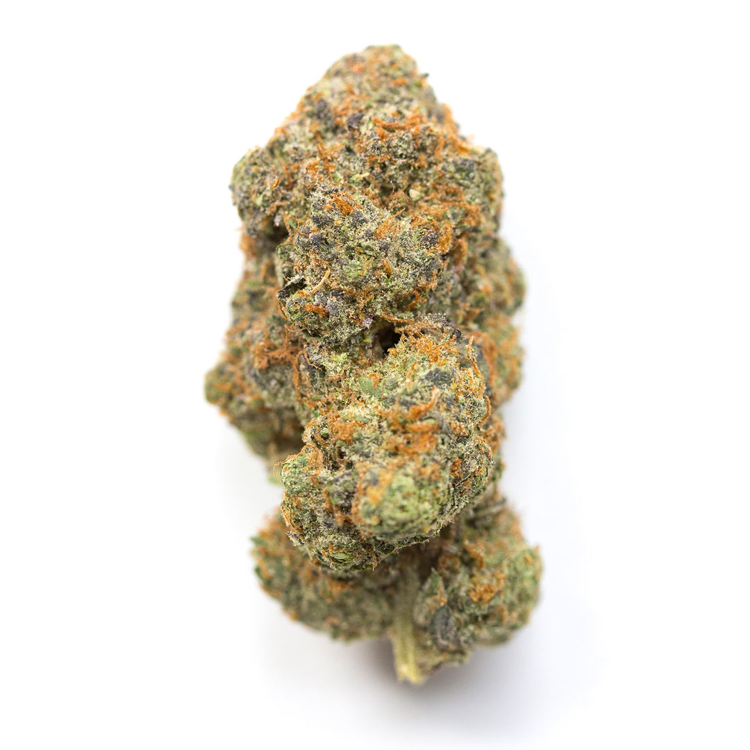 Luzid Fruit by good green flower at ShowGrow