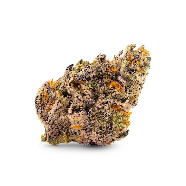 Baklava by mama j's flower at ShowGrow