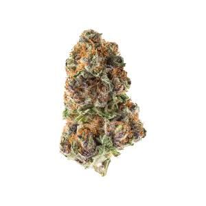 Purple Cake Batter by high lights flower at ShowGrow