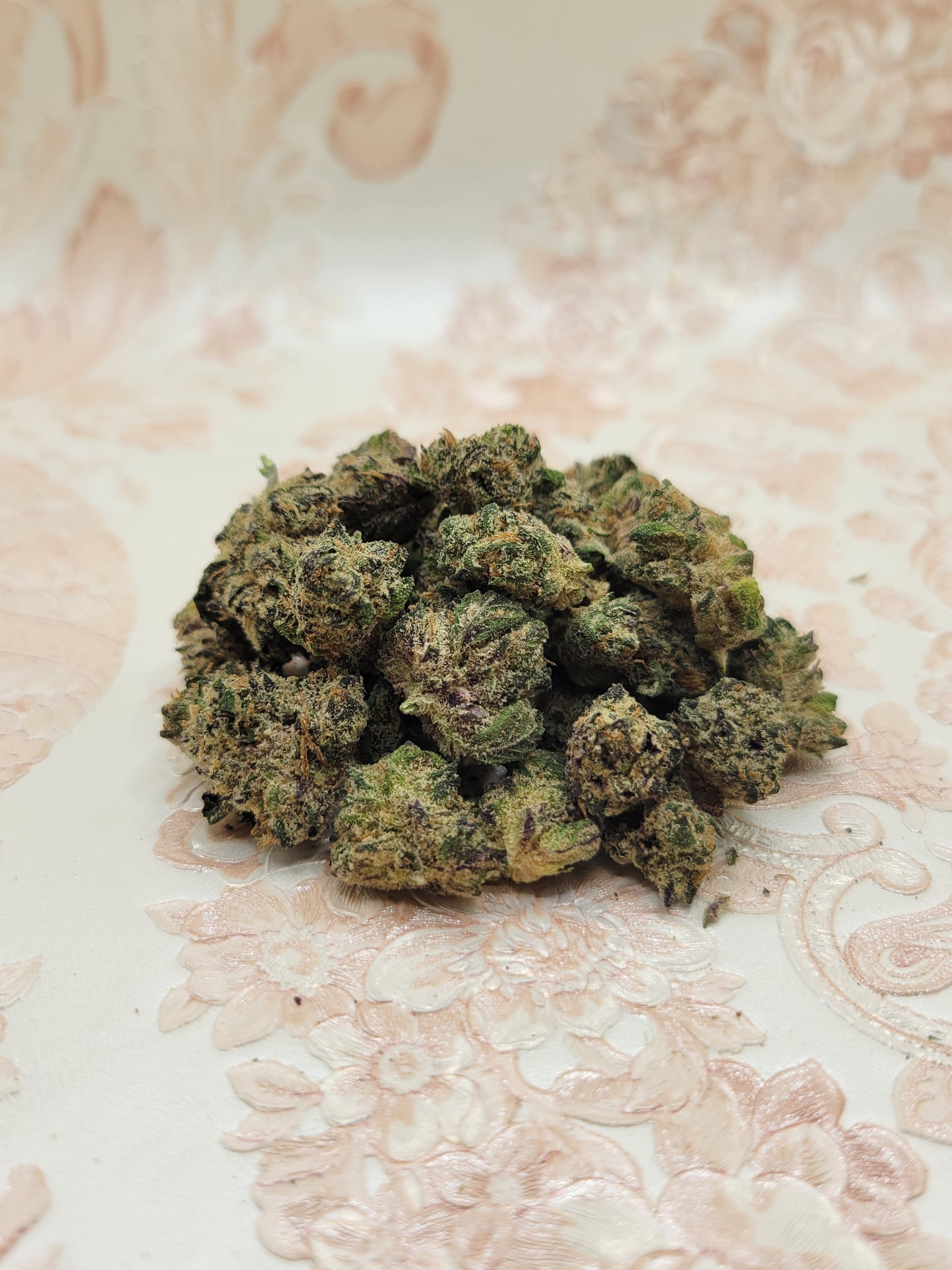Str8 To Hell by High Country Healing flower at Bleezies