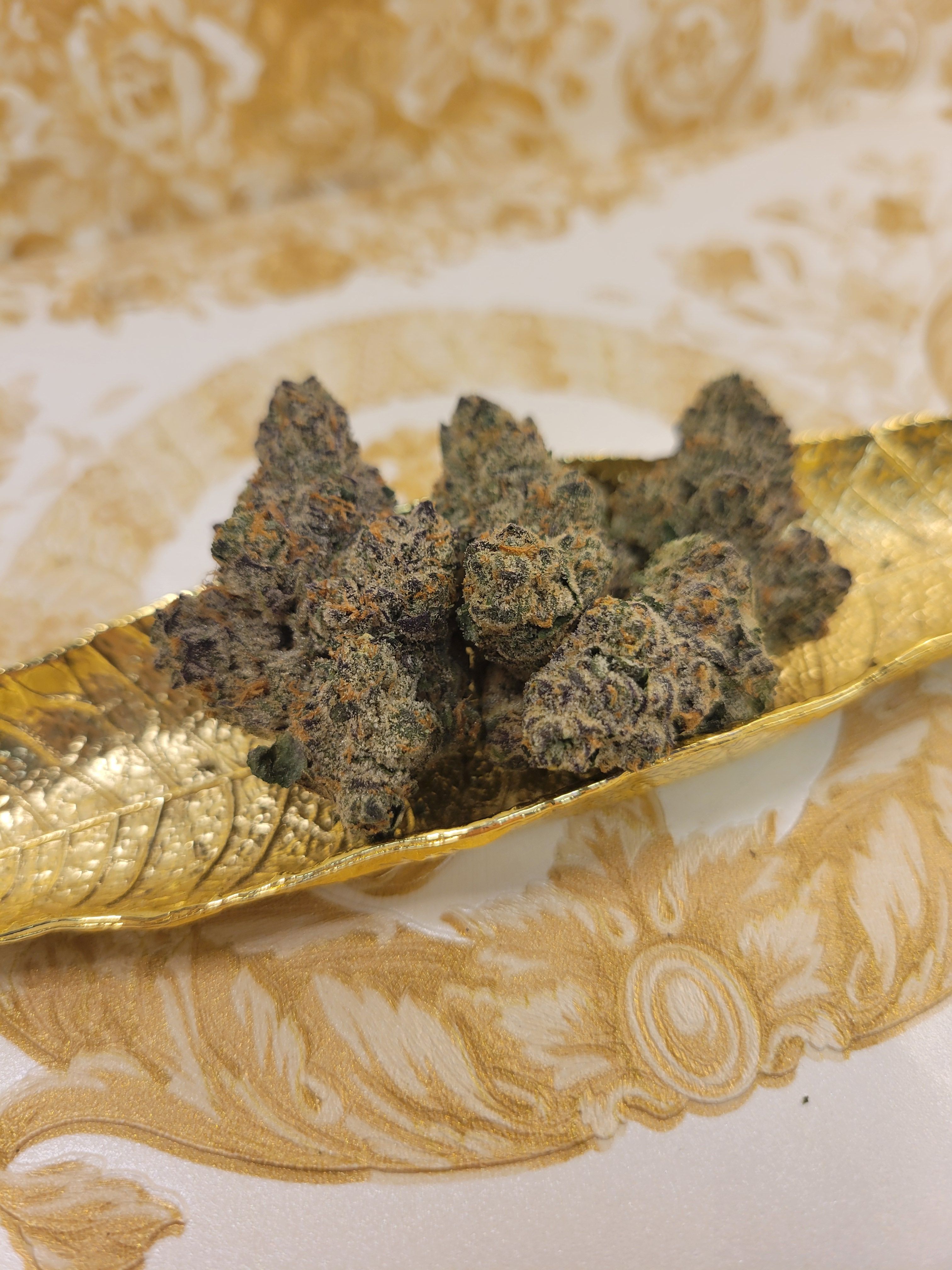 Gastro Pop by High Country Healing flower at Bleezies