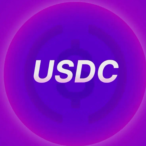 Space and Time Adds USDC Payments to Power ZK Coprocessing at Scale