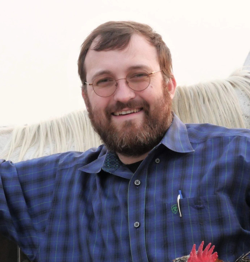 Hoskinson Calls CLARITY Act a 'Security-by-Default Trap' for U.S. Crypto