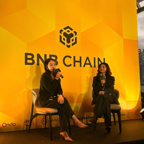 CZ–Backed YZi Labs Drops $100M Into BNB 