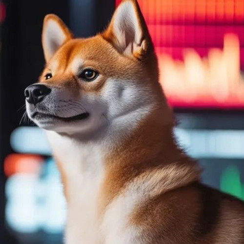 SHIB Down 93% From Its High. The Burns? Literally Zero.