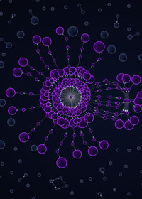 Insider Made $1M on Prediction Markets With Near-Perfect Accuracy