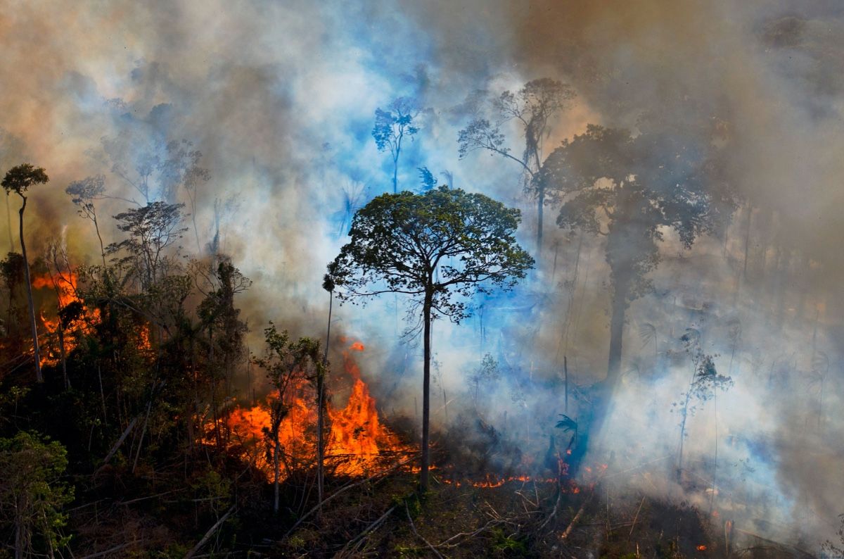 Critical research reveals Amazon forest carbon emissions dramatically surged under Bolsonaro’s regime