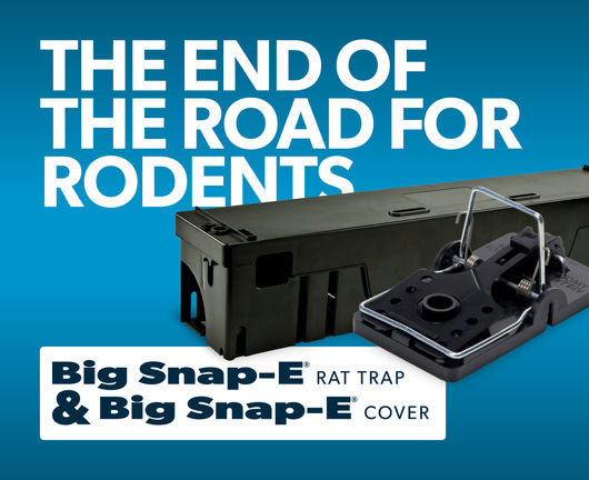 Big Snap-E Rat Trap
