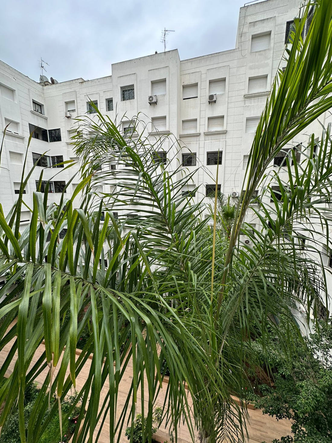 A LOUER - Bel Appartement sur Racine - image 1