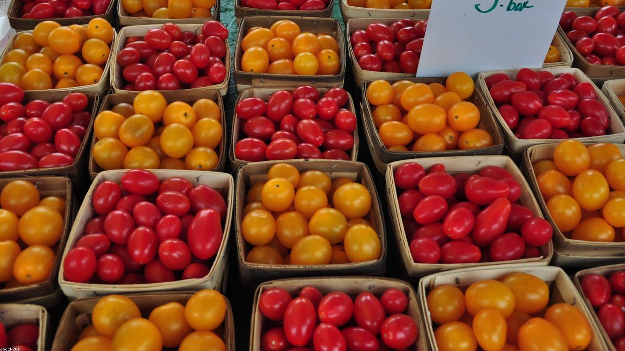 Transform Your Life with Healthy News and Proven Methods