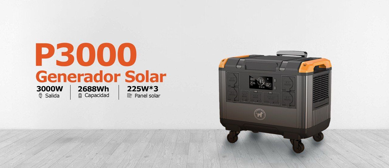 Estación De Carga De 3000W + 2Panel 225w