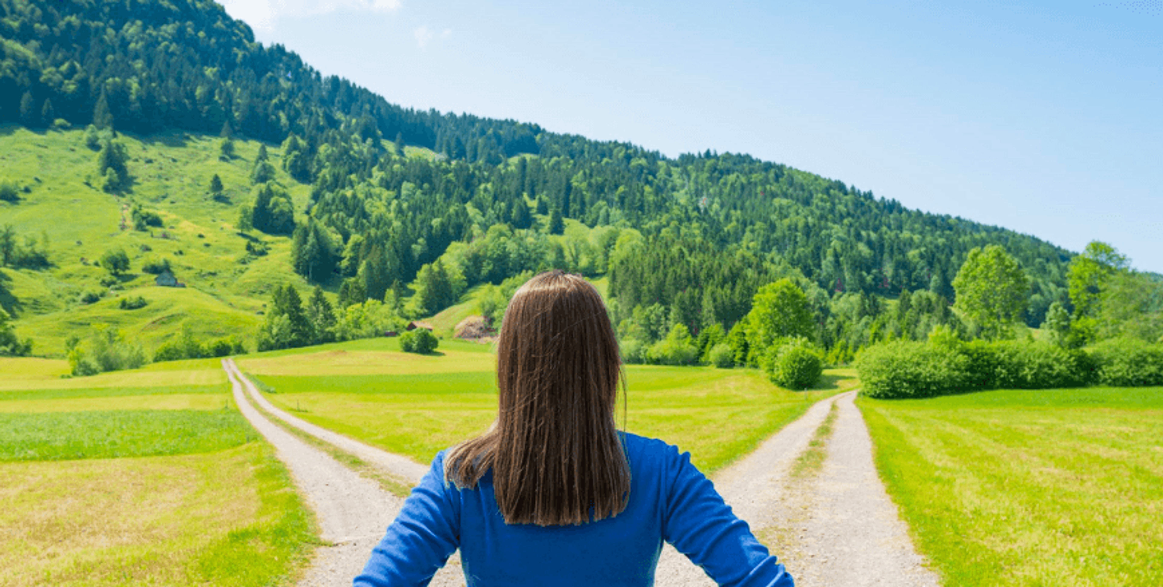 Effective UCAT decision-making strategies