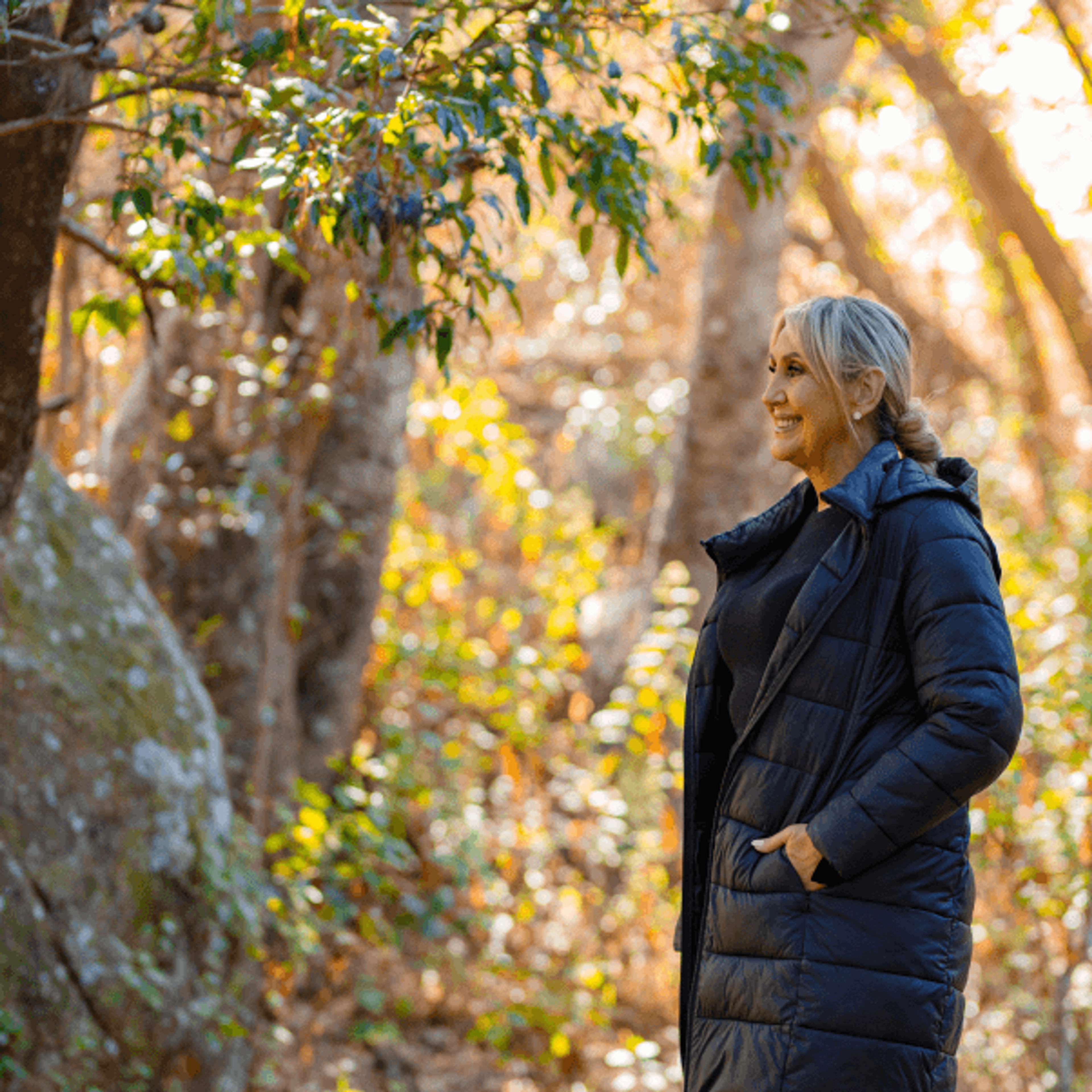 Birdwatching Imagery