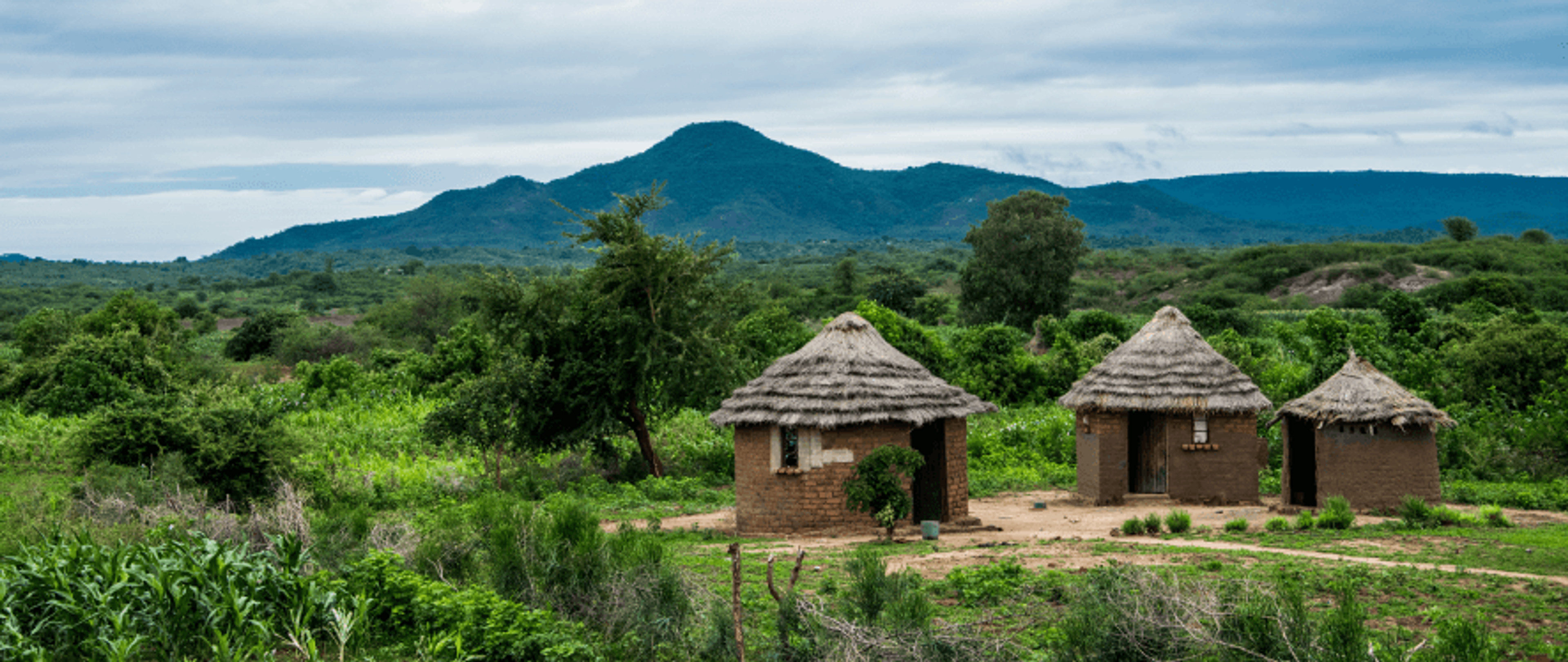 large_focal_lodge_harare_5 (27).png