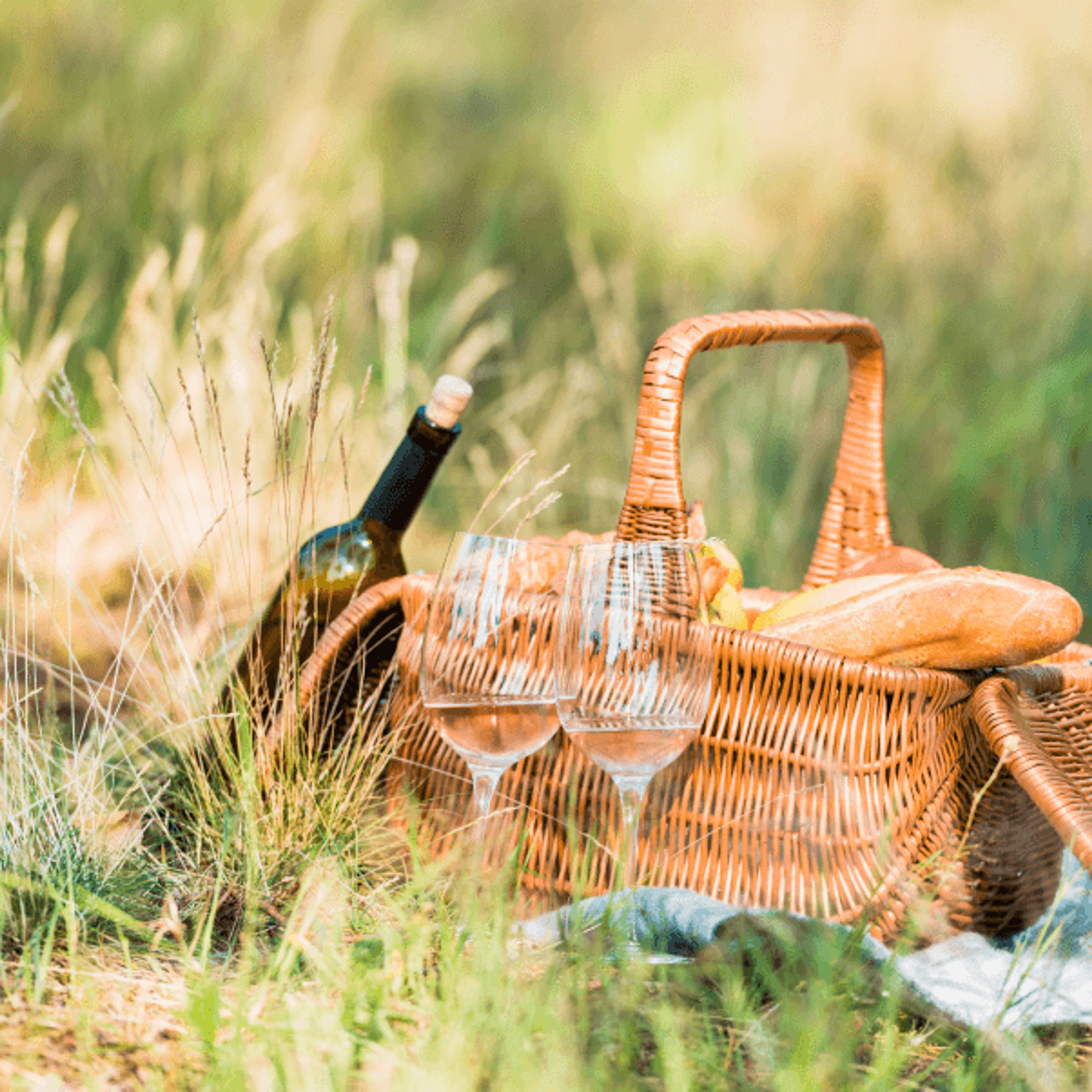 Picnicking Imagery
