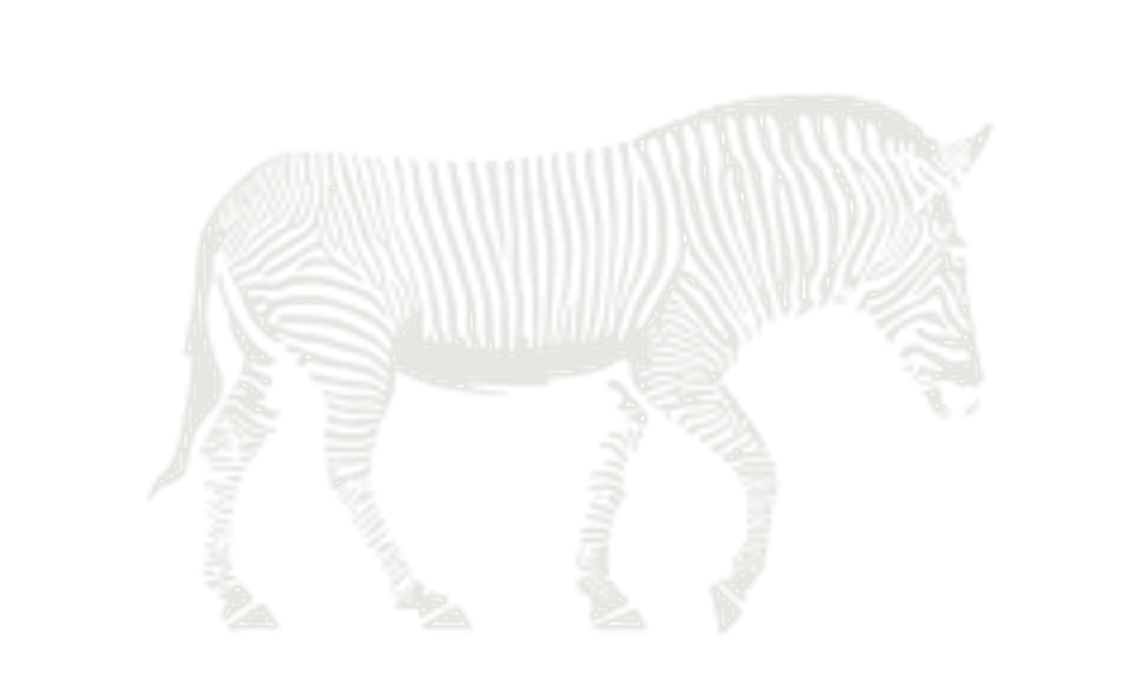 horse-image