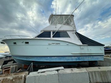 oakdale yacht club boats for sale